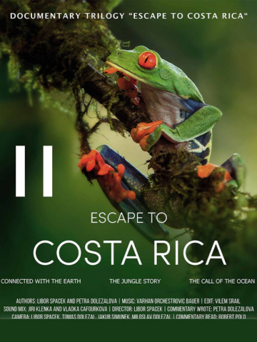 Costa Rica Getaway - Rainforest History